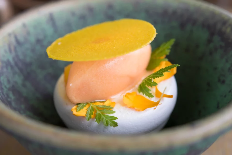 The Feline Guide to Fine Dining: Tips for Cat Owners