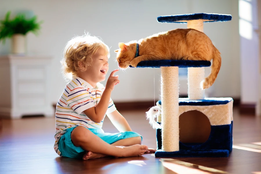 cat furniture